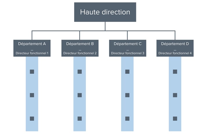 Structure fonctionnelle